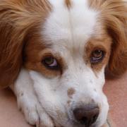 3da05-62e38-cash-min.jpg