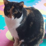3ef40-9b3f2-audrey.jpg