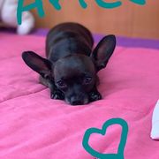 41127-63a39-ARIEL_opt.jpg
