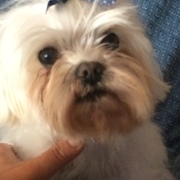 48ea7-89756-coco-24-8-2020.jpeg