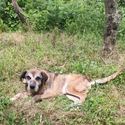 54b14-34423-enzo-1-7-2020.jpg