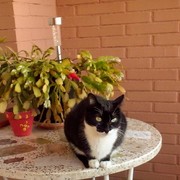 57bd7-c8733-luna-10-11-20.jpg