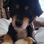 606d7-0d560-jacky.jpg