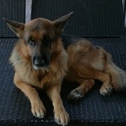 63ee9-cbde9-thor-25-8-20.jpg