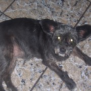 70ca8-NEGRITA-19-06.jpg
