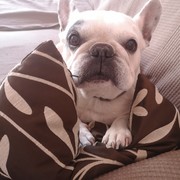 83bea-LLUNA-3-8.jpg