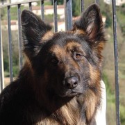 84e05-MAX-30-9.jpg