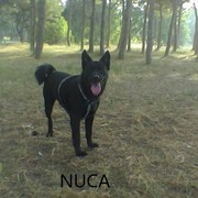 NUCA - 8581f-NUCA-3-01.jpg