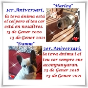 86f85-caf1e-harley-1er.aniversari-i-damm-3er.aniversari.jpg