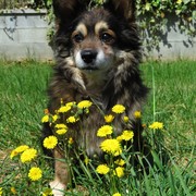 940d5-ROCKY-5-06.jpg