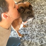 9ffe9-0a389-otto.jpg