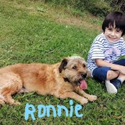 a0728-543d3-ronnie.jpg