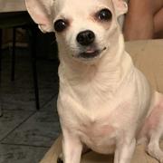 a800f-bd00c-bimba.jpg