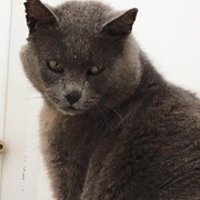 b21d2-4c70d-grisgris.jpg