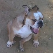 b4957-PEGGY.jpg