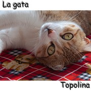 b4f1c-TOPOLINA.jpg