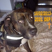 b7f20-DRAKO.jpg