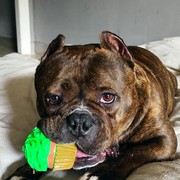 baec6-LOLA-5-7.jpg