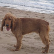 be570-1f9f7-nala-1-3-2021.jpg