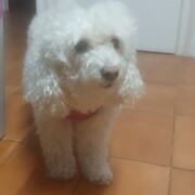bella-07-07-2026.jpg