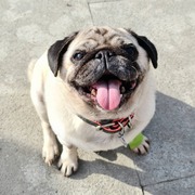 bella-30-06.jpg