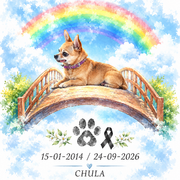 chula-2-03-10-2026.png