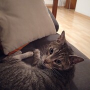 coco-02-07-2026.jpg
