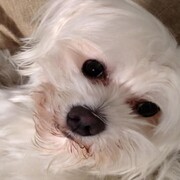 coco-04-08-2026.jpg
