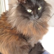 COCO - coco-2-28-04-2026.jpg