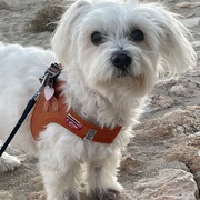 COCO - coco-21-01-2026.JPG