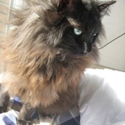 coco-3-28-04-2026.jpg