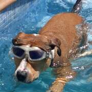 cooper-25-06-2026.jpeg