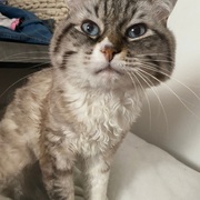 CUQUI - cuqui-2-26-03-2026.jpg