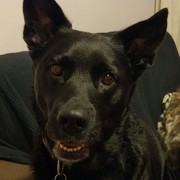 d051b-TOBBY.jpg