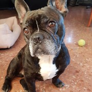 d21f8-PANCHITO.jpg