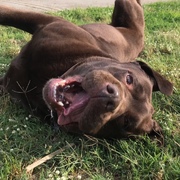 DANKO - danko-10-16-04-2026.jpeg