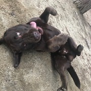 DANKO - danko-5-16-04-2026.jpeg