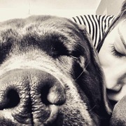 DANKO - danko-7-16-04-2026.jpeg