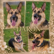 daron-18-06-2026.jpeg