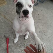 dcefa-9c6e9-sheila_opt.jpg