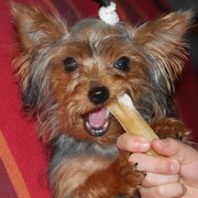 eade8-LINDA-25-10.jpg
