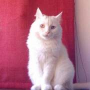 ed152-6b59b-anouk.jpg