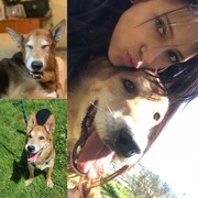 f251e-6606e-buddy.jpg