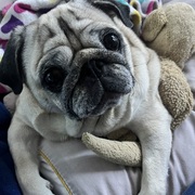 GINA - gina-4-13-04-2026.jpeg