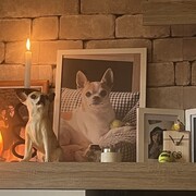 GOLIN - golin-2-10-02-2026.jpeg