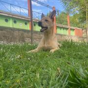 JACK - jack-2-27-01-2026.jpg