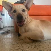 JACK - jack-3-27-01-2026.jpg