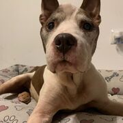 JACKSON - jackson-1-01-09-25.jpg