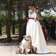 JACKSON - jackson-3-01-09-25.jpg