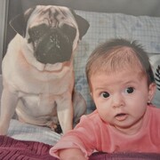 JOEY - joey-1-24-03-2026.jpg